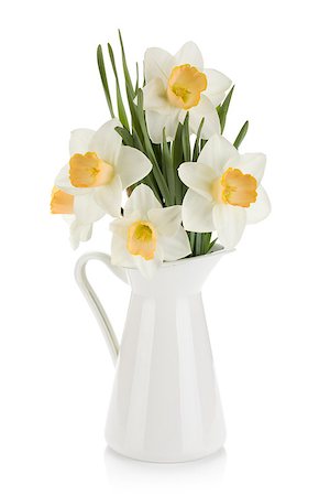 easter lily background - Bouquet of white daffodils in jug. Isolated on white background Stock Photo - Budget Royalty-Free & Subscription, Code: 400-06920695