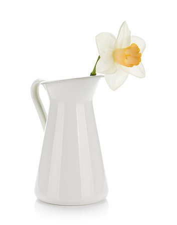 easter lily background - White daffodil in jug. Isolated on white background Stock Photo - Budget Royalty-Free & Subscription, Code: 400-06920703