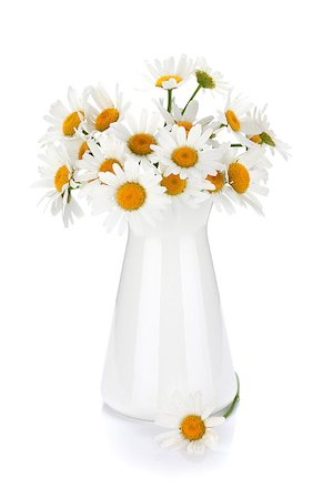 simsearch:400-07179442,k - Chamomile bouquet in vase. Isolated on white background Stock Photo - Budget Royalty-Free & Subscription, Code: 400-06920719