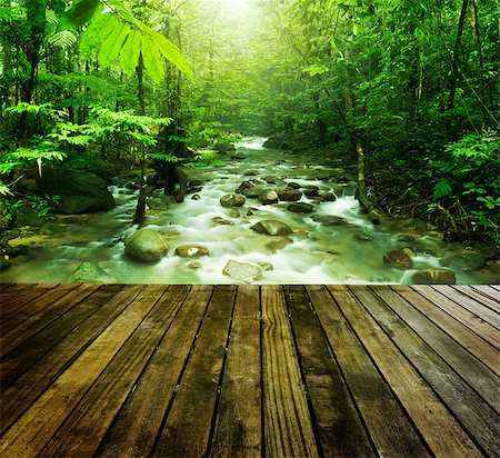 rain forest in malaysia - Wooden platform and tropical mountain stream with sunbeam in a morning. Stock Photo - Budget Royalty-Free & Subscription, Code: 400-06922024