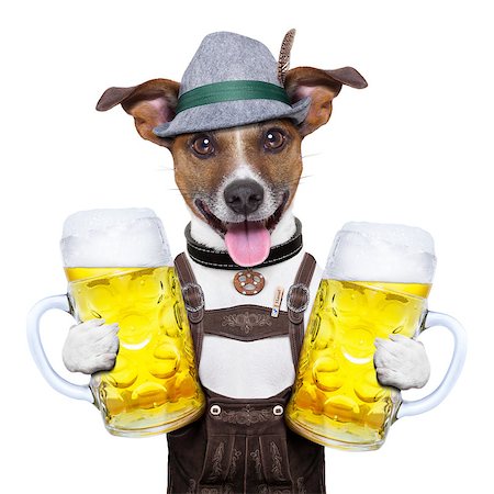 oktoberfest dog with two  beer mugs ,smiling happy Photographie de stock - Aubaine LD & Abonnement, Code: 400-06922697