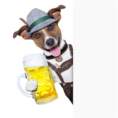 simsearch:400-04680527,k - oktoberfest dog with  a beer mug ,smiling happy behing a placard Stockbilder - Microstock & Abonnement, Bildnummer: 400-06922693