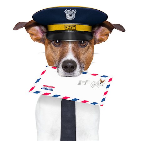 simsearch:400-04350456,k - postman mail dog with a air mail letter Stock Photo - Budget Royalty-Free & Subscription, Code: 400-06922702