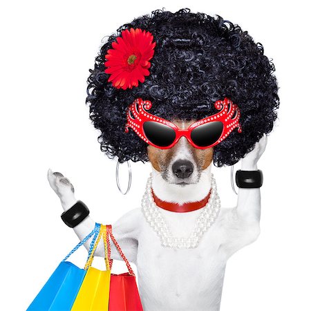 flower sale - diva dog shopping like a pro , holding a bunch of bags Stock Photo - Budget Royalty-Free & Subscription, Code: 400-06922718