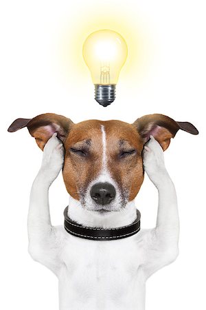 smart dog thinking with a light bulb on top Stock Photo - Budget Royalty-Free & Subscription, Code: 400-06922710