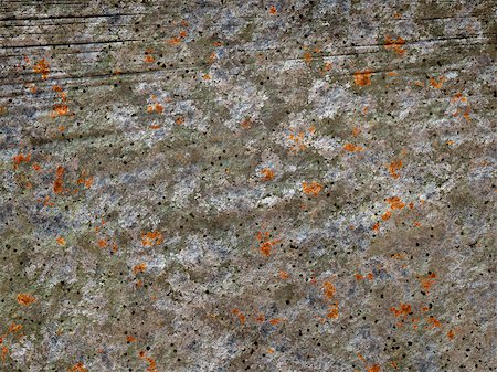 A high quality stone texture with lichen Stock Photo - Budget Royalty-Free & Subscription, Code: 400-06922748
