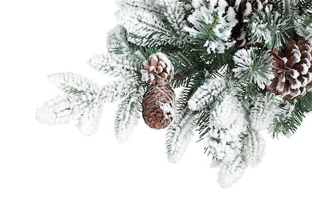 Fir tree branch with cones covered with snow. Isolated on white background Foto de stock - Super Valor sin royalties y Suscripción, Código: 400-06923187