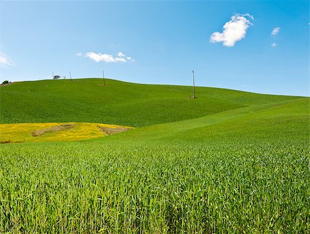 simsearch:400-04517909,k - High-voltage Power Line Passes through the Green Sloping Meadows of Tuscany Photographie de stock - Aubaine LD & Abonnement, Code: 400-06923433