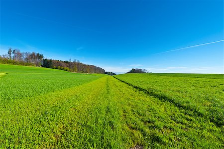 simsearch:400-05732134,k - Green Pastures around the Shed in Switzerland Stock Photo - Budget Royalty-Free & Subscription, Code: 400-06923455