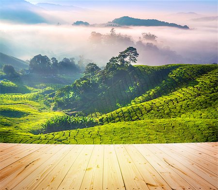 photo frame in heaven - Wood floor over tea Plantations at Cameron Highlands Malaysia. Sunrise in early morning with fog. Stock Photo - Budget Royalty-Free & Subscription, Code: 400-06923703
