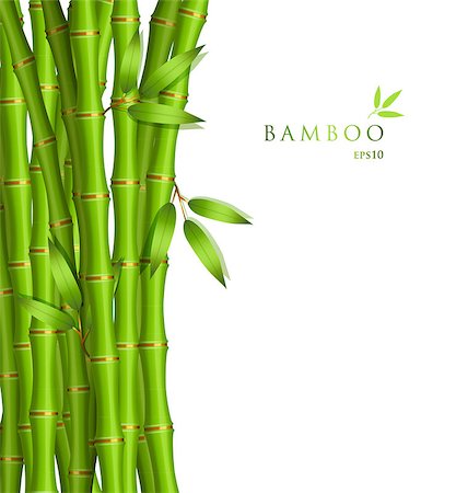 simsearch:400-07035863,k - Vector illustration of Background with green bamboo Stockbilder - Microstock & Abonnement, Bildnummer: 400-06944073