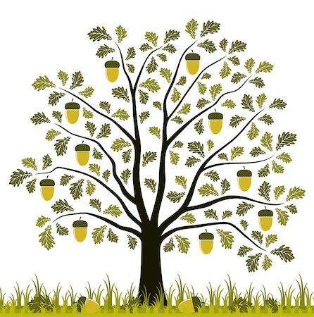 vector oak tree in grass isolated on white background, Adobe Illustrator 8 format Photographie de stock - Aubaine LD & Abonnement, Code: 400-06945076