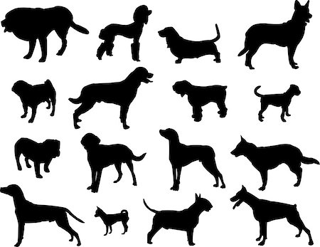 simsearch:400-04792278,k - Dogs silhouette - vector Fotografie stock - Microstock e Abbonamento, Codice: 400-06945576