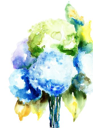 Beautiful Hydrangea blue flowers, watercolor illustration Stock Photo - Budget Royalty-Free & Subscription, Code: 400-06947218
