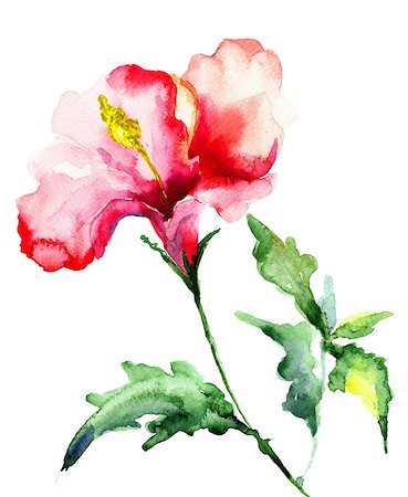 simsearch:400-06202782,k - Beautiful Red flowers, watercolor illustration Stock Photo - Budget Royalty-Free & Subscription, Code: 400-06947213