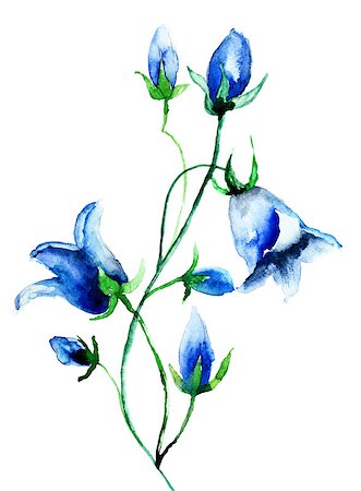 Bell flower, watercolor illustration Foto de stock - Super Valor sin royalties y Suscripción, Código: 400-06947220