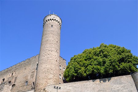 Toompea tower in summer day. Tallinn, Estonia. Fotografie stock - Microstock e Abbonamento, Codice: 400-06947890