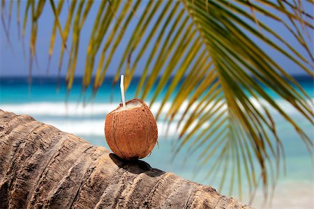subtropical - coconut with green leaf on sea background Stock Photo - Budget Royalty-Free & Subscription, Code: 400-06947928