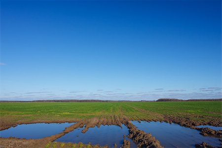 simsearch:400-06919516,k - Landscape with a flooded fields Stock Photo - Budget Royalty-Free & Subscription, Code: 400-06948352