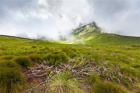 Image of a beautiful carpathian mountains. Marmaros massif in eastern Carpathians. Stock Photo - Budget Royalty-Free & Subscription, Code: 400-06948442