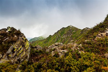simsearch:400-06748383,k - Image of a beautiful carpathian mountains. Marmaros massif in eastern Carpathians. Fotografie stock - Microstock e Abbonamento, Codice: 400-06948452