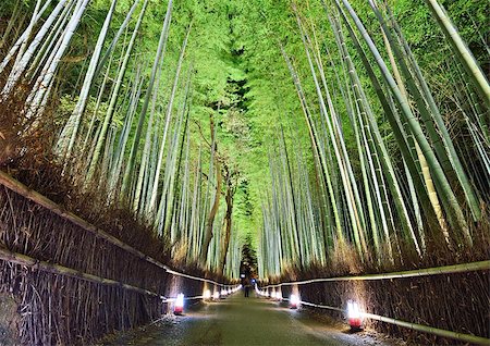 The bamboo forest of Kyoto, Japan. Stock Photo - Budget Royalty-Free & Subscription, Code: 400-06948476