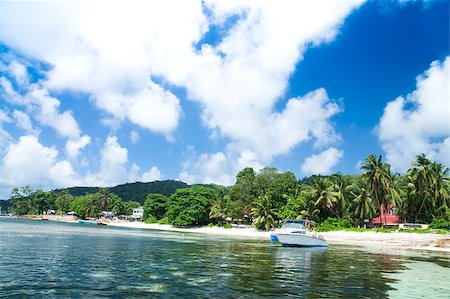 La Digue island, Seychelles, Anse la Reunion. White speedboat. Green forest. Fotografie stock - Microstock e Abbonamento, Codice: 400-06948732