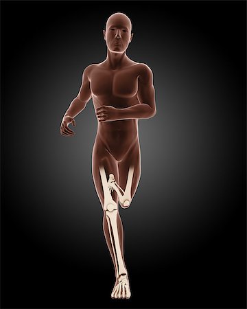 simsearch:400-04280645,k - 3D render of a running male medical skeleton Photographie de stock - Aubaine LD & Abonnement, Code: 400-06949126
