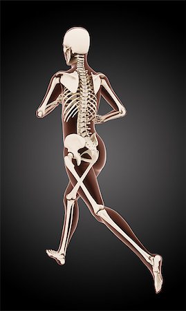 simsearch:400-06768230,k - 3D render of a female medical skeleton running Photographie de stock - Aubaine LD & Abonnement, Code: 400-06949135