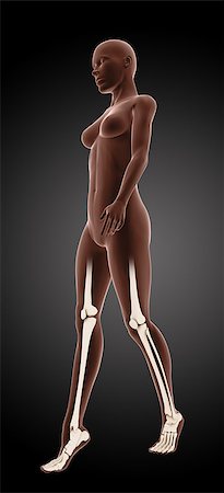 simsearch:400-06768229,k - 3D render of a female medical skeleton walking with knee and ankle highlighted Fotografie stock - Microstock e Abbonamento, Codice: 400-06949136