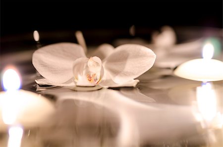 Orchid flower and candles floating on the water. Stock Photo - Budget Royalty-Free & Subscription, Code: 400-06949848