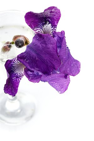 Violet flower. Iris flower in a glass. Violet iris. Flower in a glass. Flower in dew drops. Fotografie stock - Microstock e Abbonamento, Codice: 400-06949954