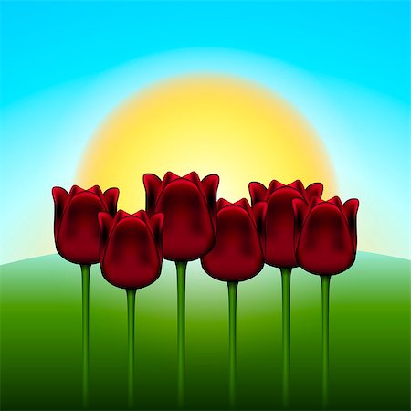 ekaterina88 (artist) - vector illustration of landscape tulips on the background of the rising sun Foto de stock - Royalty-Free Super Valor e Assinatura, Número: 400-06954074