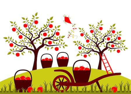 vector hand barrow and baskets of apples in apple orchard, Adobe Illustrator 8 format Stock Photo - Budget Royalty-Free & Subscription, Code: 400-06954364