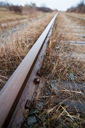 sleeping on train - Train track details with natural diffused sun ligh Stock Photo - Budget Royalty-Free & Subscription, Code: 400-06954401