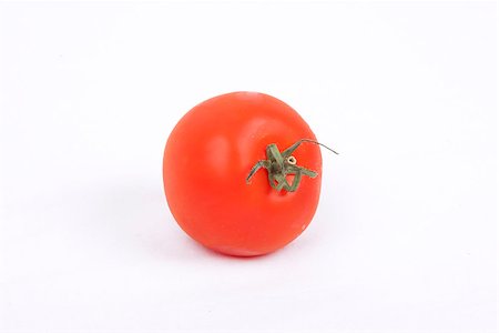 tomatos isolated on a white background Foto de stock - Super Valor sin royalties y Suscripción, Código: 400-06954533