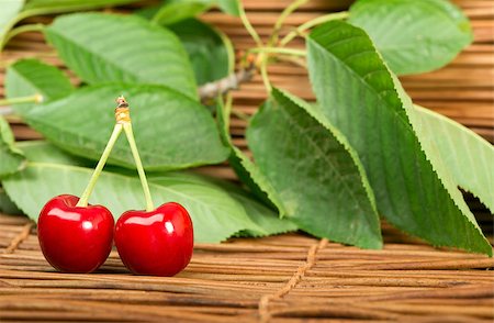 simsearch:400-08110532,k - Two Cherries close up. Branch with leaves. Studio shot Stock Photo - Budget Royalty-Free & Subscription, Code: 400-06950365
