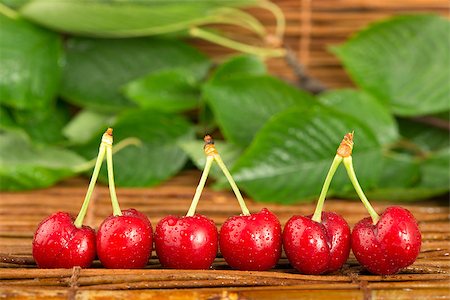 simsearch:400-08110532,k - Cherries and branch with leaves. Studio shot Stock Photo - Budget Royalty-Free & Subscription, Code: 400-06950369