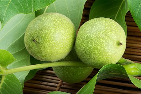 simsearch:400-07289954,k - Green walnuts and leaves. Studio shot Stock Photo - Budget Royalty-Free & Subscription, Code: 400-06950374
