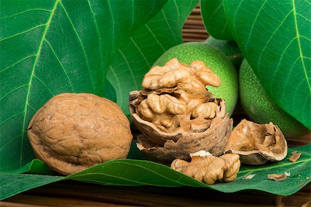 simsearch:400-07289954,k - Green and ripe walnuts Foto de stock - Royalty-Free Super Valor e Assinatura, Número: 400-06950376