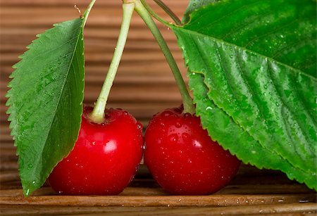 simsearch:400-08110532,k - Two Cherries close up. Branch with leaves. Studio shot Stock Photo - Budget Royalty-Free & Subscription, Code: 400-06950371