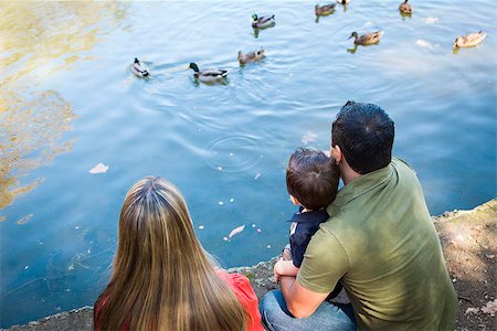 feverpitched (artist) - Mixed Race Mother and Father with Son at the Park Duck Pond. Foto de stock - Royalty-Free Super Valor e Assinatura, Número: 400-06951132