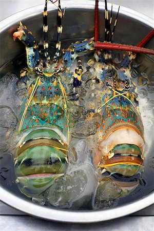 simsearch:400-05204133,k - Two fresh caught the lobster in ice in an iron bowl Stock Photo - Budget Royalty-Free & Subscription, Code: 400-06951235