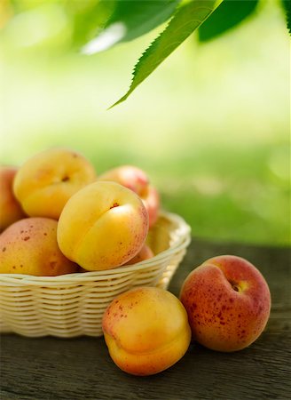 Ripe Tasty Apricots in the Basket on the Old Wooden Table on the Green Foliage Background Photographie de stock - Aubaine LD & Abonnement, Code: 400-06951426