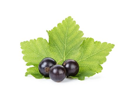 simsearch:824-02888669,k - fresh ripe blackcurrant, isolated on white background Photographie de stock - Aubaine LD & Abonnement, Code: 400-06951604