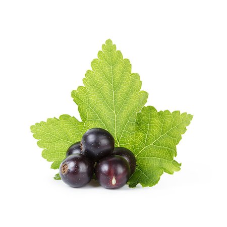 simsearch:824-02888669,k - fresh ripe blackcurrant, isolated on white background Photographie de stock - Aubaine LD & Abonnement, Code: 400-06951605