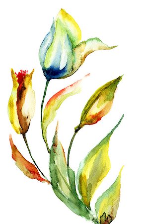 simsearch:400-06202782,k - Original Lily flower, watercolor illustration Stock Photo - Budget Royalty-Free & Subscription, Code: 400-06952210