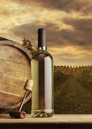 simsearch:400-07829164,k - Wine bottle on vineyard background Stock Photo - Budget Royalty-Free & Subscription, Code: 400-06953519