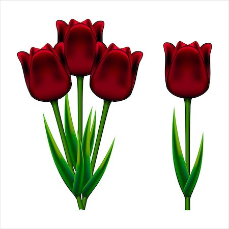 ekaterina88 (artist) - vector consisting of red tulips and a bouquet of three tulips Fotografie stock - Microstock e Abbonamento, Codice: 400-06953721