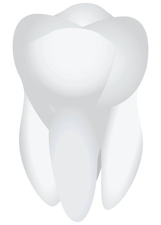 A healthy human tooth. The subject of dental treatment. Vector illustration. Stock Photo - Budget Royalty-Free & Subscription, Code: 400-07034351